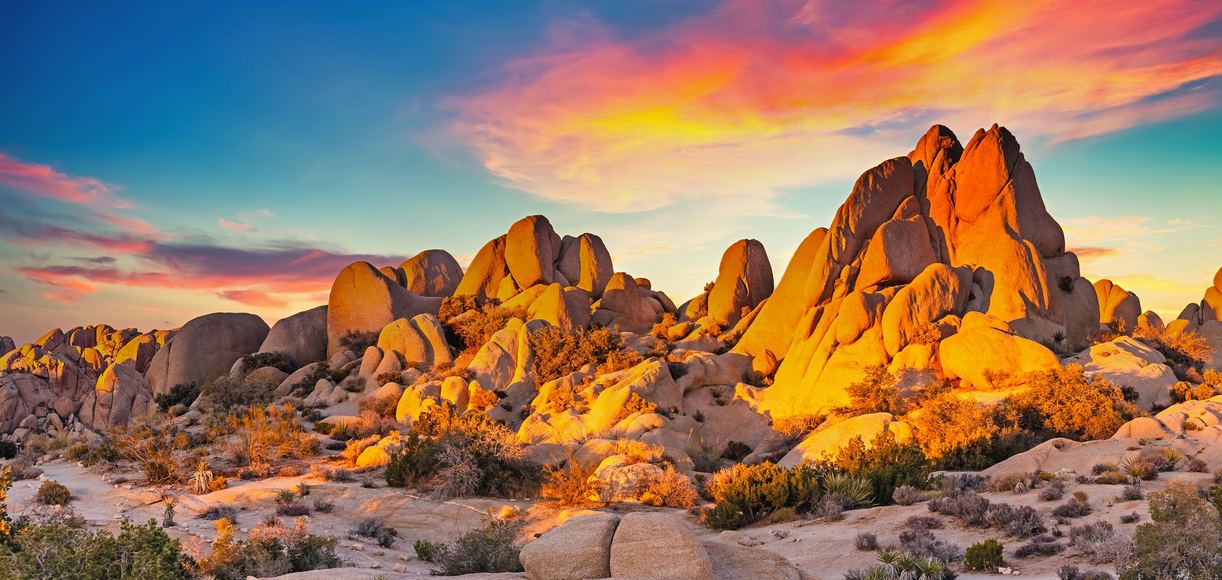 Fun Facts About California's Deserts
