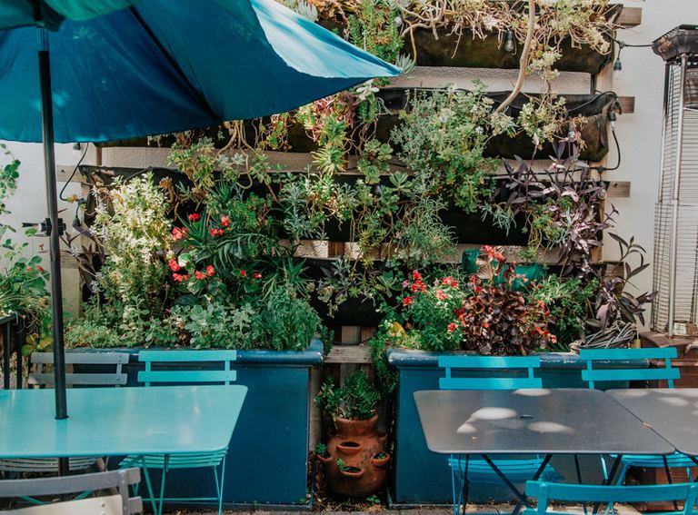 The lush outdoor patio.