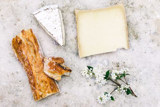 Cheesemaker tours are a tasty endeavor in northern California