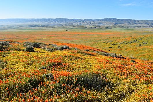 The Most Affordable Places to Live in California