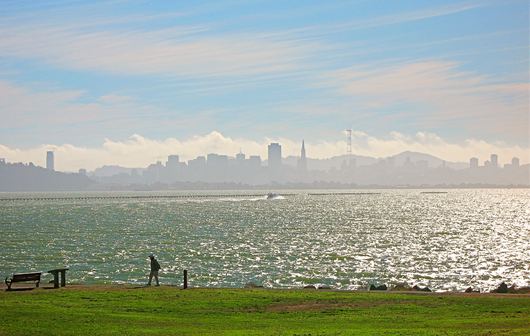 California article
