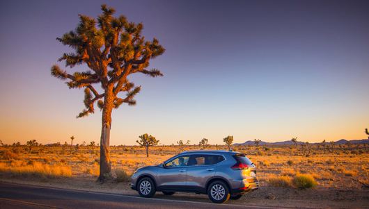 Colorful Cars: How a Paint Job Can Change a Car's Life