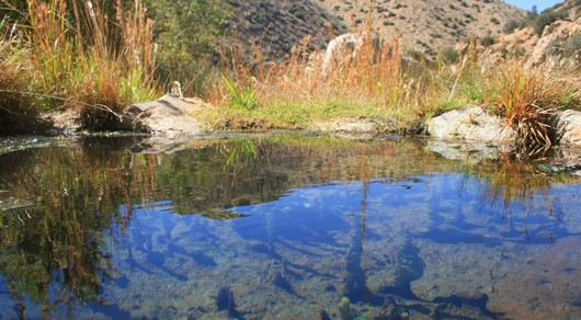 California article