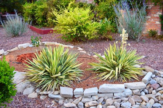 A Guide To Easy Drought Tolerant Landscaping In California 1822