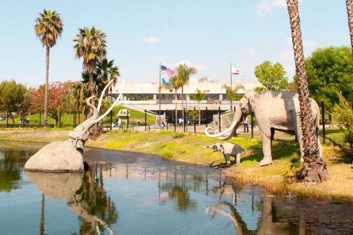 Top 10 Los Angeles Art Galleries and Museums to Visit Now