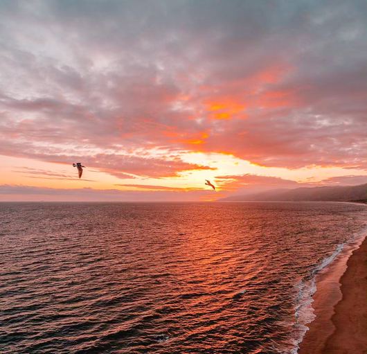 California article