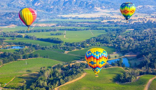 Hold the Wine: 11 Things to Do in Wine Country that Don’t Involve Drinking