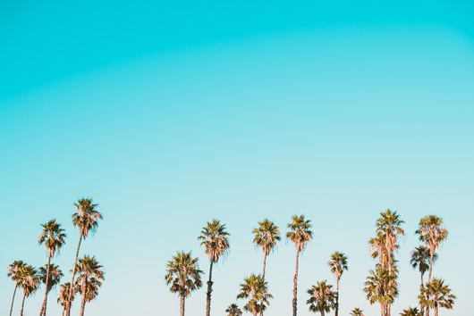 California Hotels That Will Make You Crave a Staycation