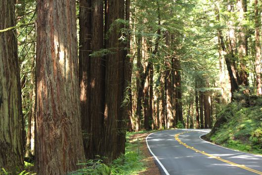 Hit The Road: The Scenic California Road Trips You Can Drive in One Day