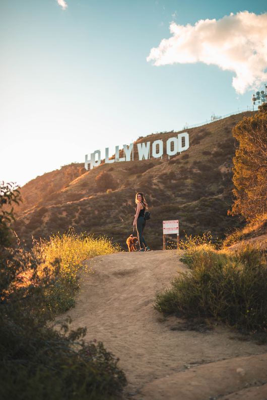 Can You Hike To The Hollywood Sign Right Now The 5 Best Hollywood Hikes Perfect For Your Next Adventure