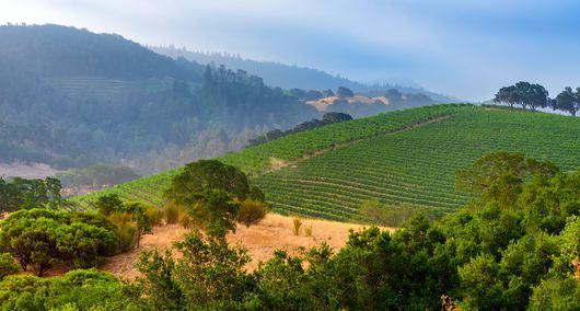 California Hotels That Will Make You Crave a Staycation