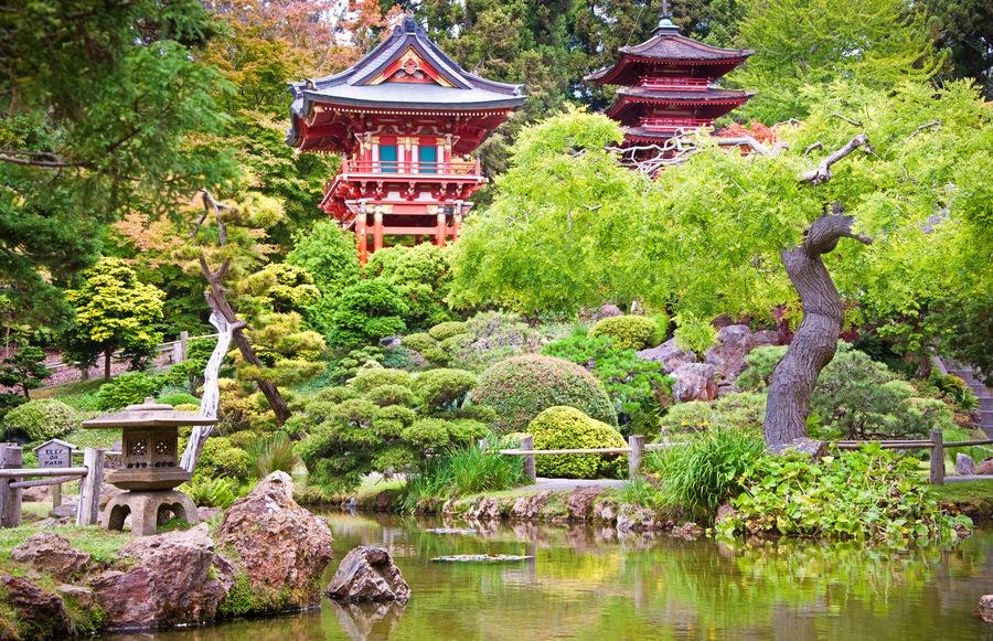 Unique Things To Do in San Francisco