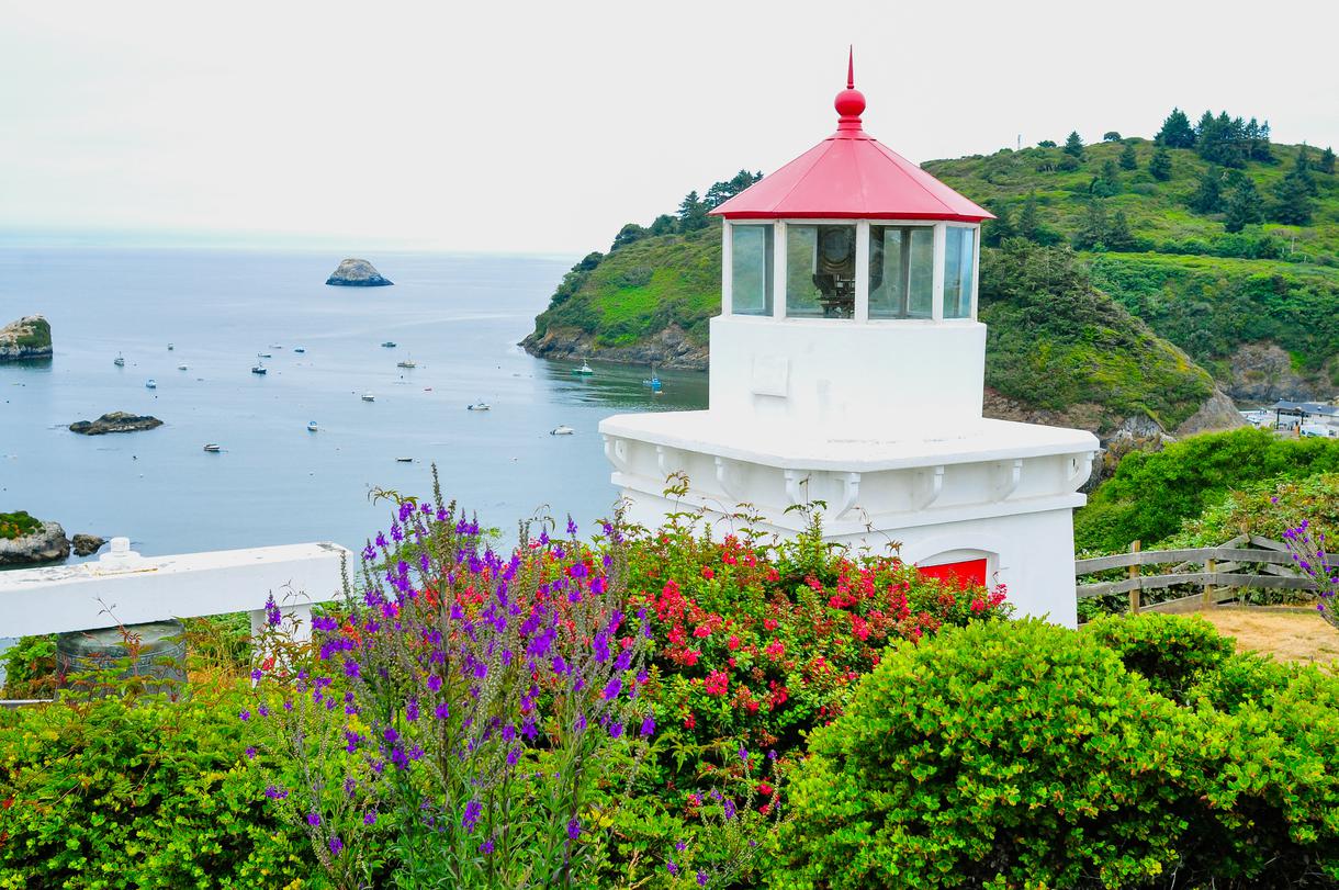 9 Things to Do in Trinidad, CA