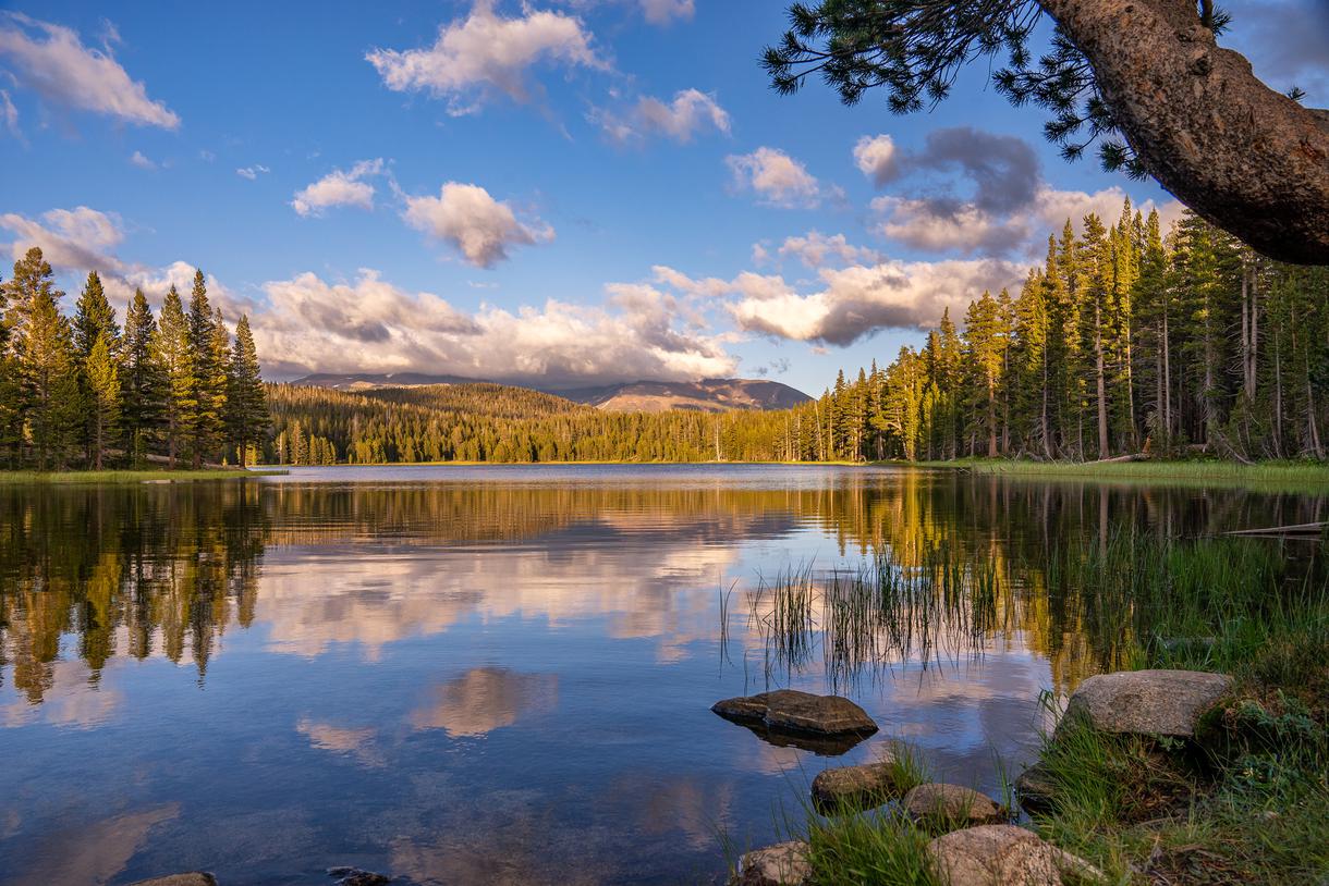 Every Stop To Make on Tioga Pass to Yosemite Valley