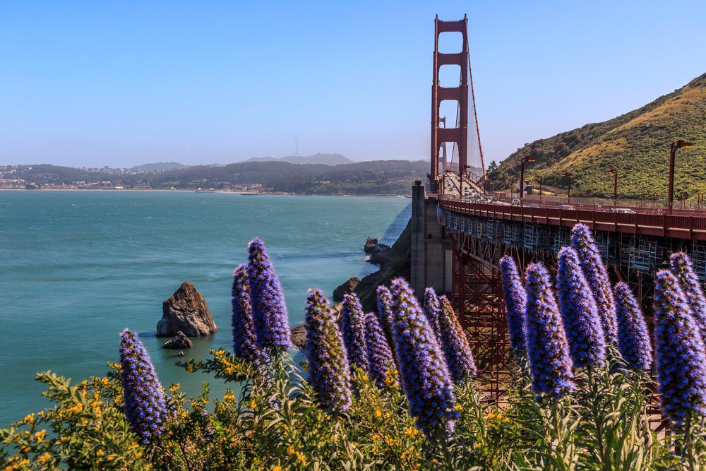 sausalito travel guide