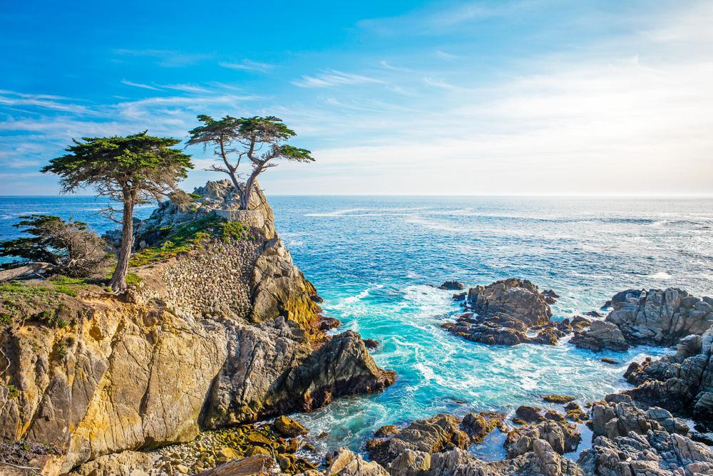 17 Unique Things To Do in Monterey