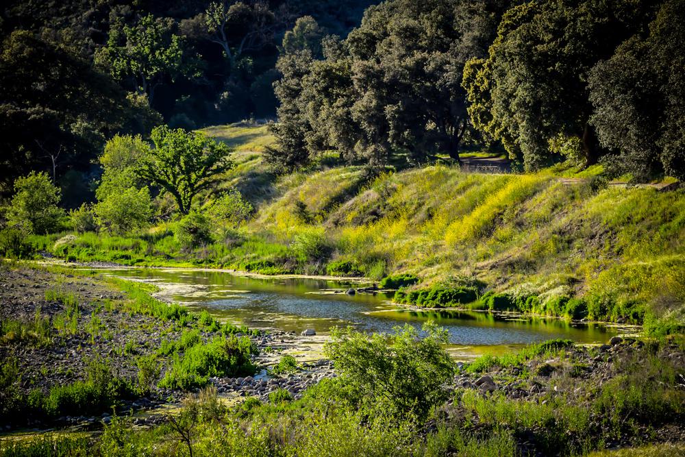 Hike These Trails in Malibu Creek State Park