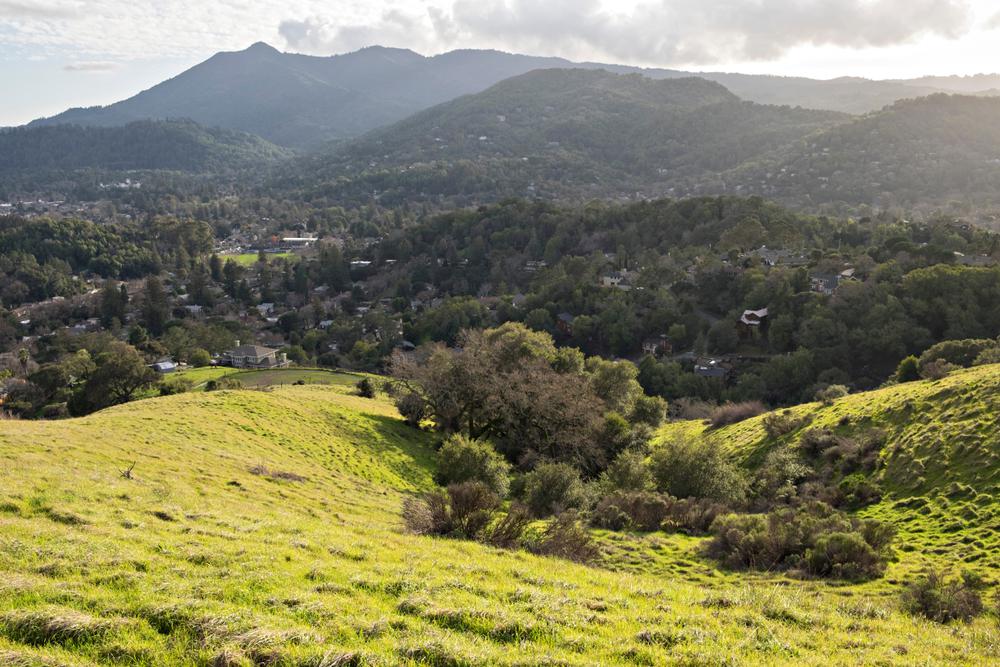 The Best Bay Area Photography Spots