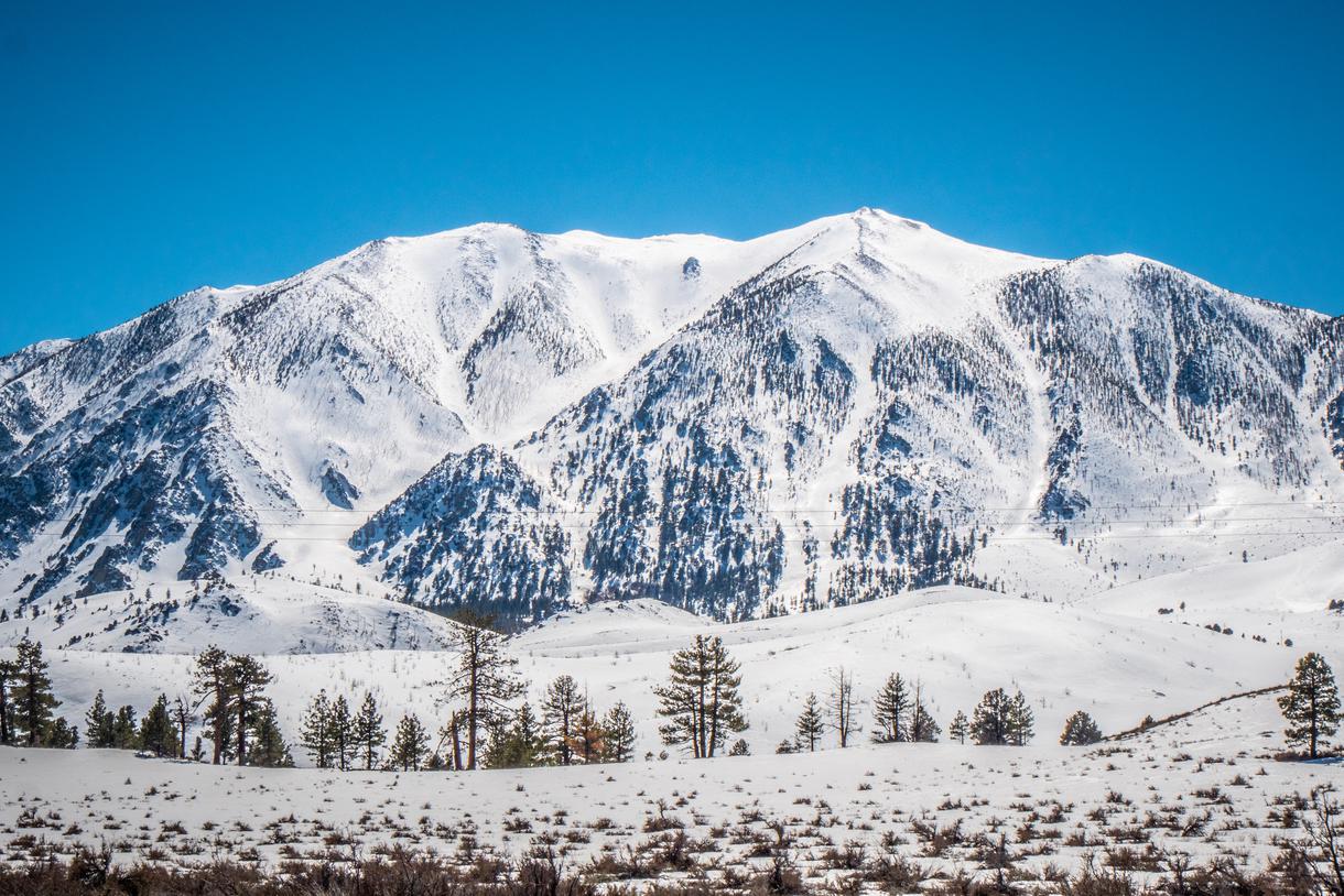 Where to Go Snowshoeing in California