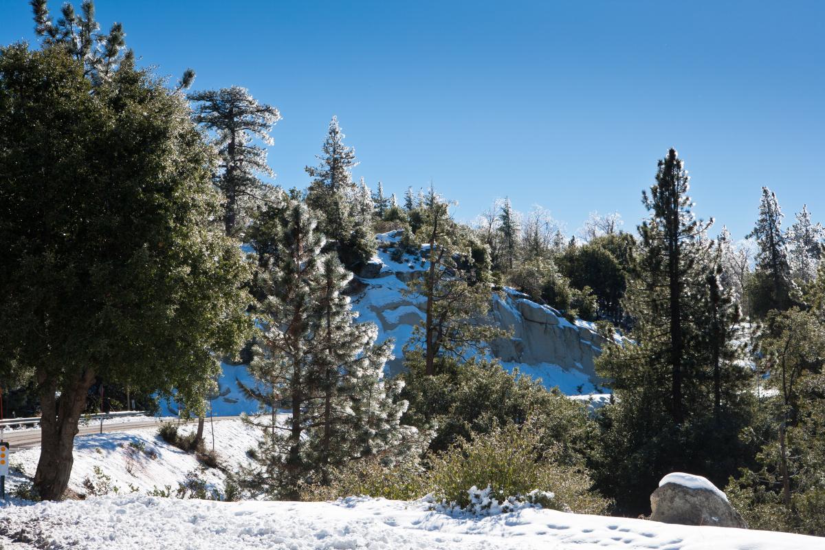 The Family Winter Vacations To Plan Next