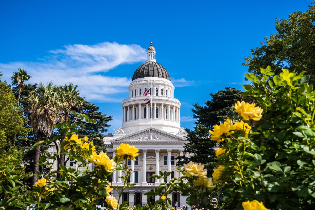 Must-See Sights and Things to Do in Sacramento