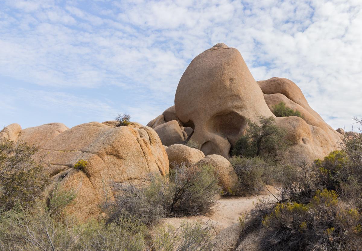 A Guide To The Best Hikes In Joshua Tree