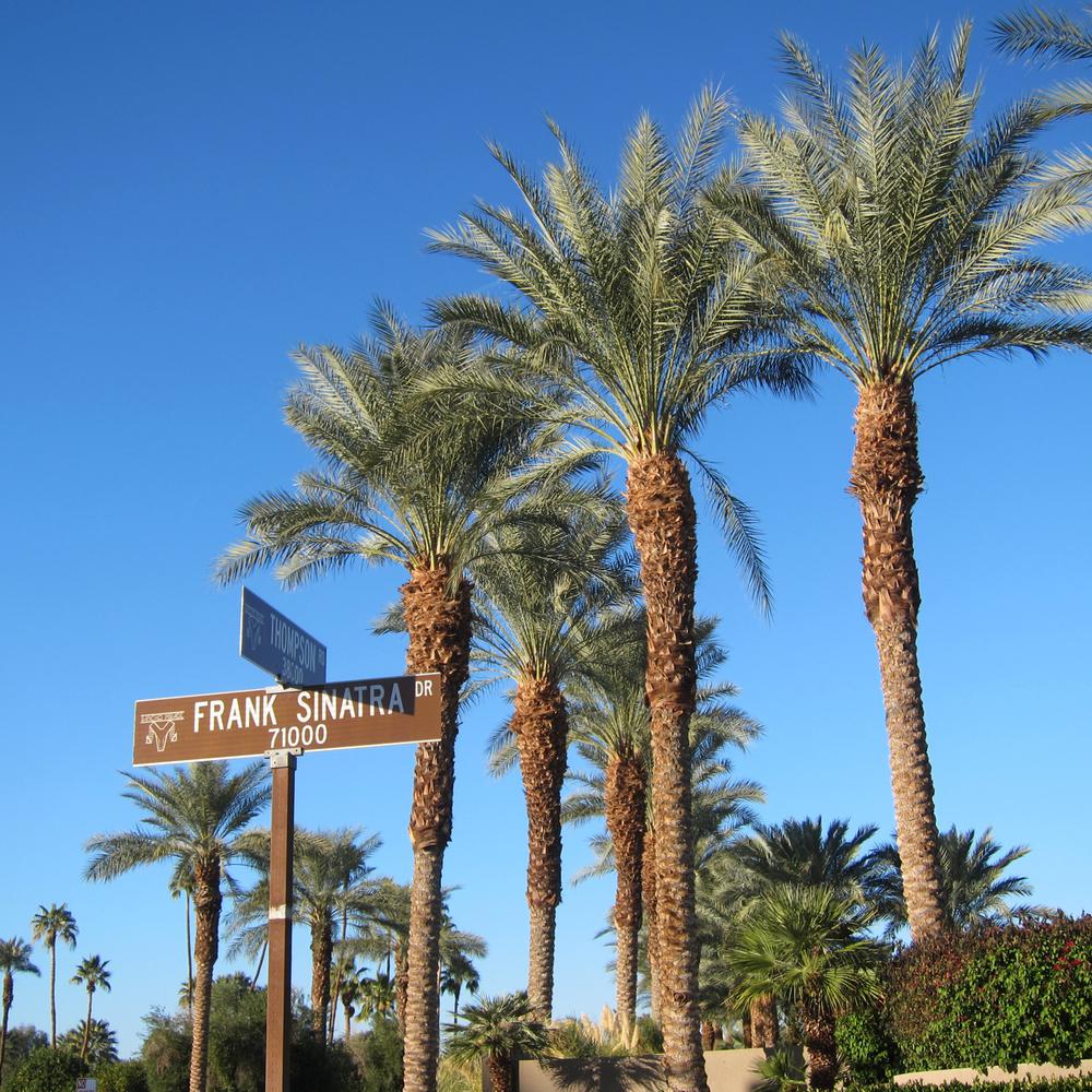 Revealed: The Pros and Cons To Living In Palm Desert, CA