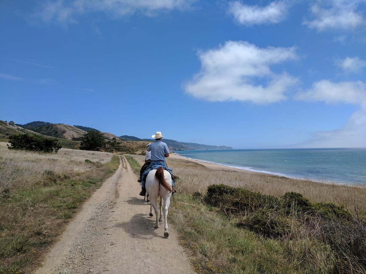9 Top Places to Go Horseback Riding in California