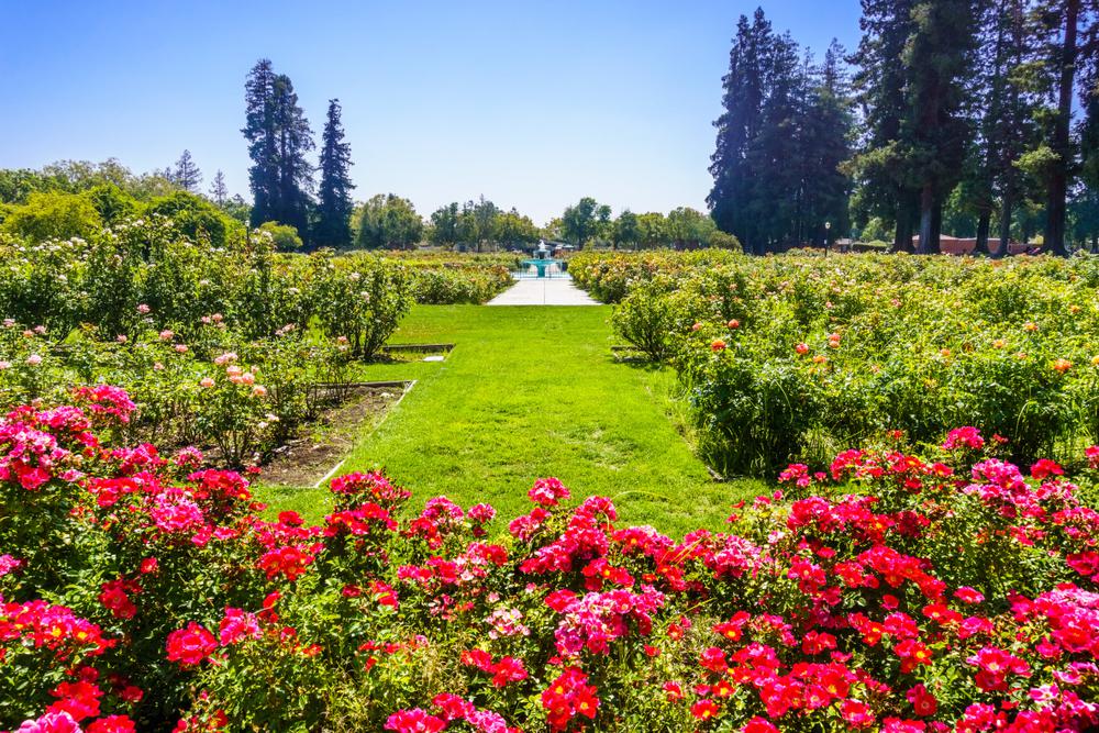 The Best Bay Area Photography Spots
