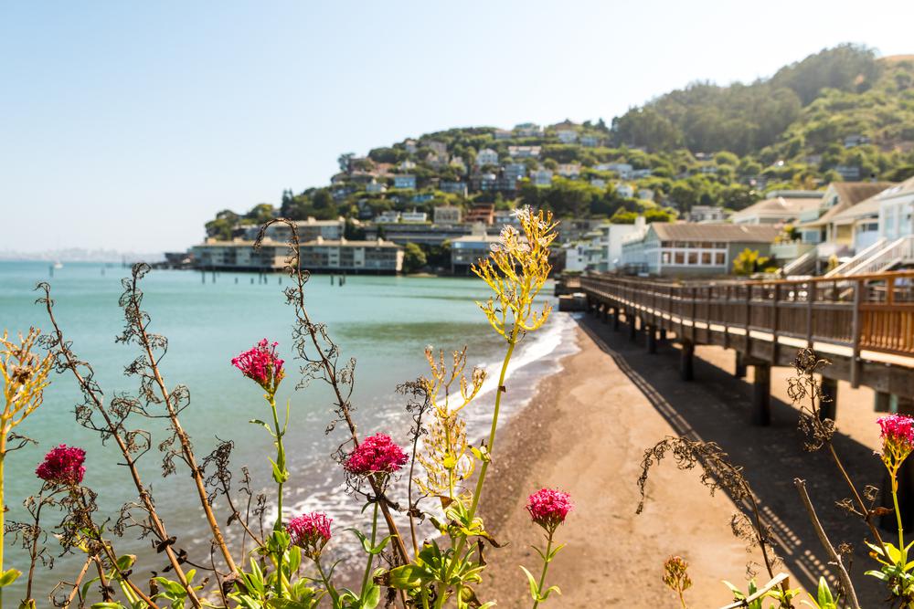 13 Awesome Things To Do In Sausalito