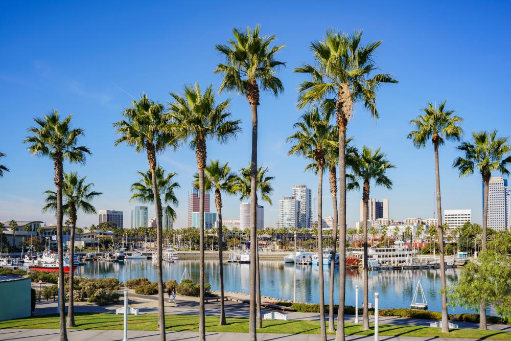 The 7 Most Diverse Cities in California