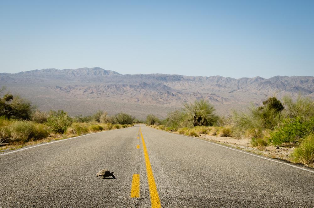 fun-facts-about-california-s-deserts-2023