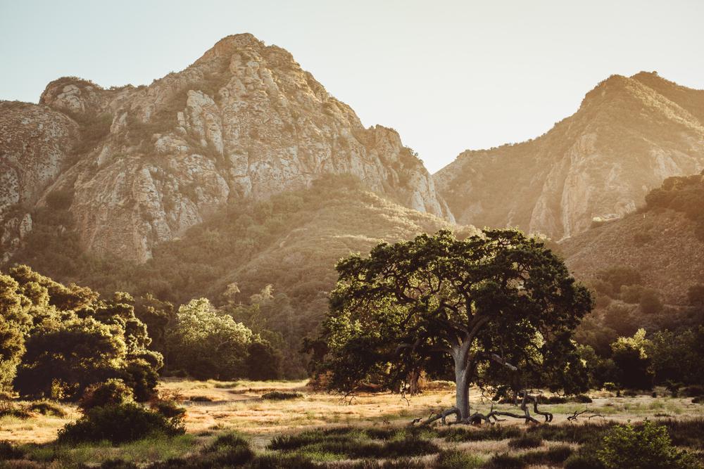 Top Places To Hike In LA With Someone You're Getting To Know