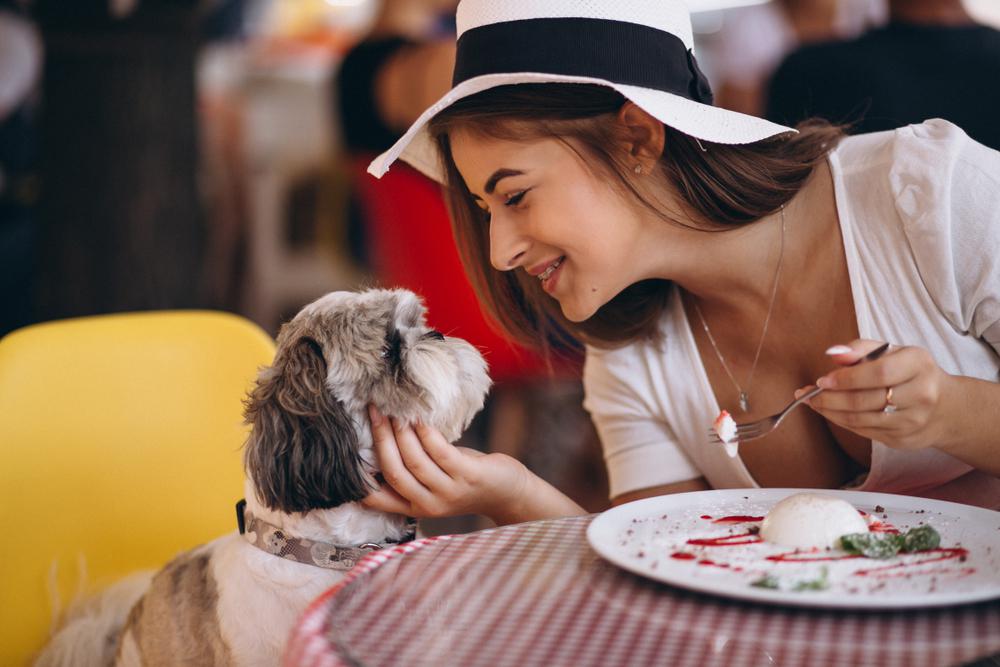 The Top 7 Dog Friendly Restaurants in San Diego