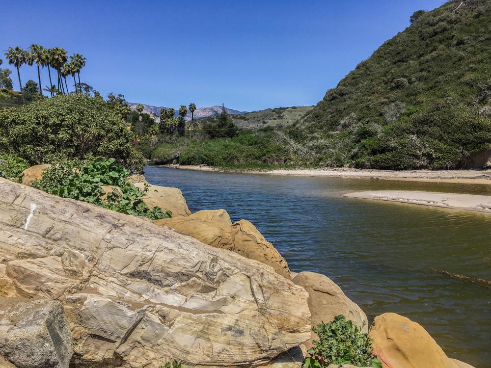 Discover the Arroyo Burro Beach Loop: A Guide to Santa Barbara's Coastal Gem