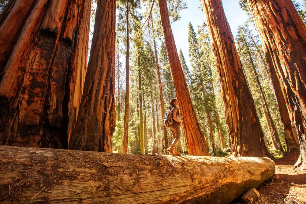 A Guide to California's National Parks