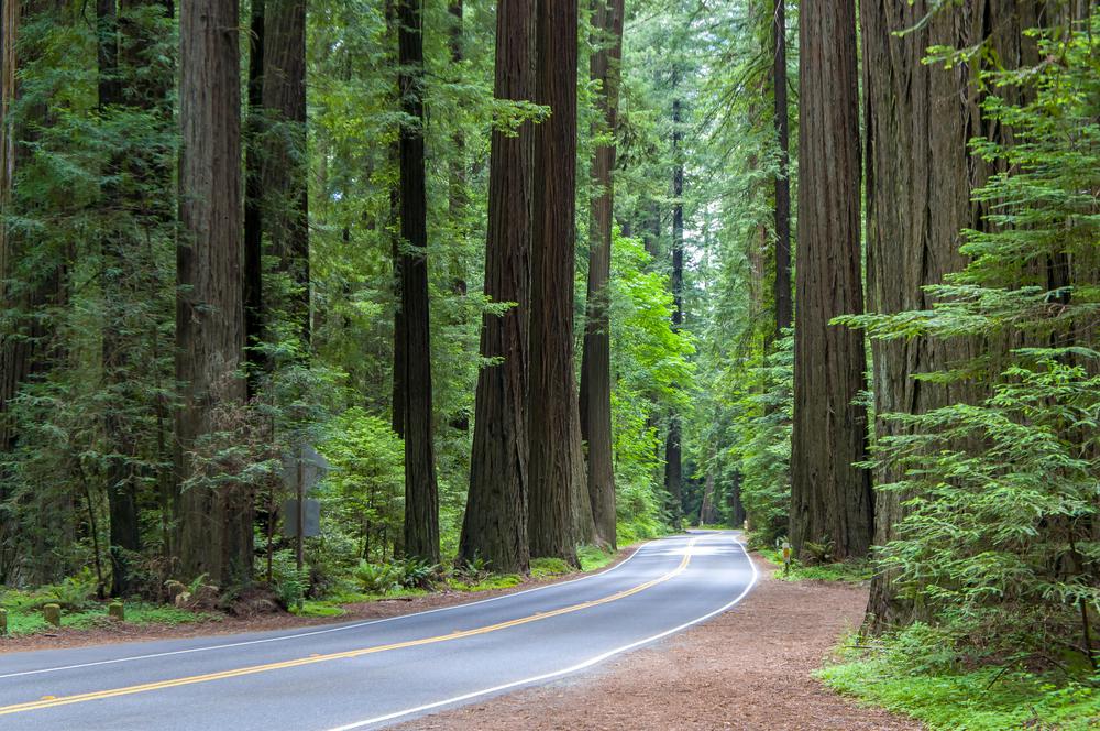 Mysterious Natural Wonders in California