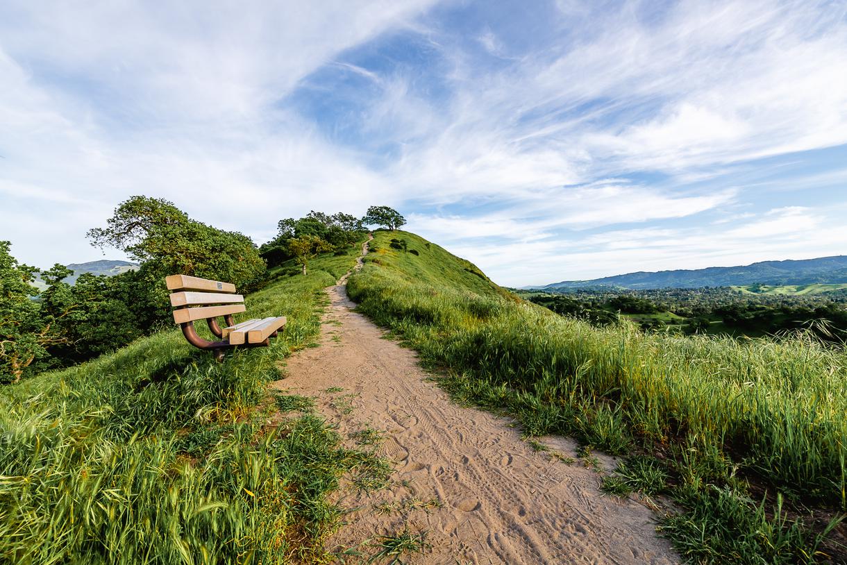 Escape to the Summit:  Your Guide to Mount Diablo State Park