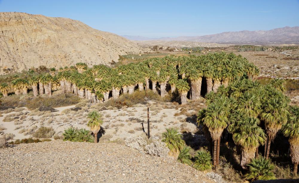 The 13 Best Hikes in Southern California to Take This Spring