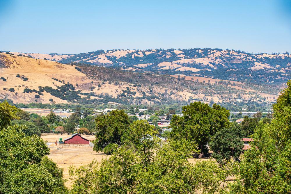 All You Need To Know About Urban Farming in San Francisco