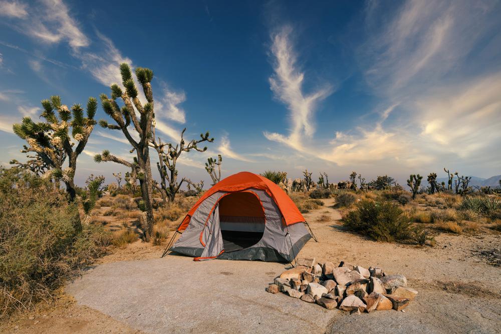 Mojave 2025 road camping