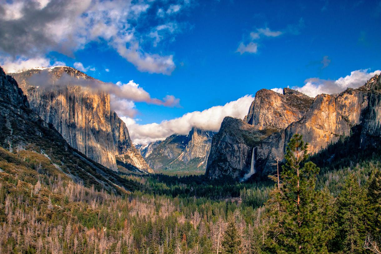 How Many National Parks are in California?