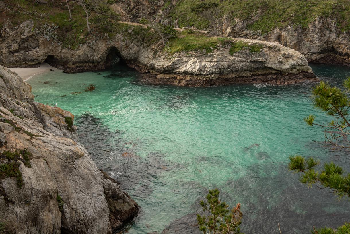 9 Fun Things To Do in Point Lobos