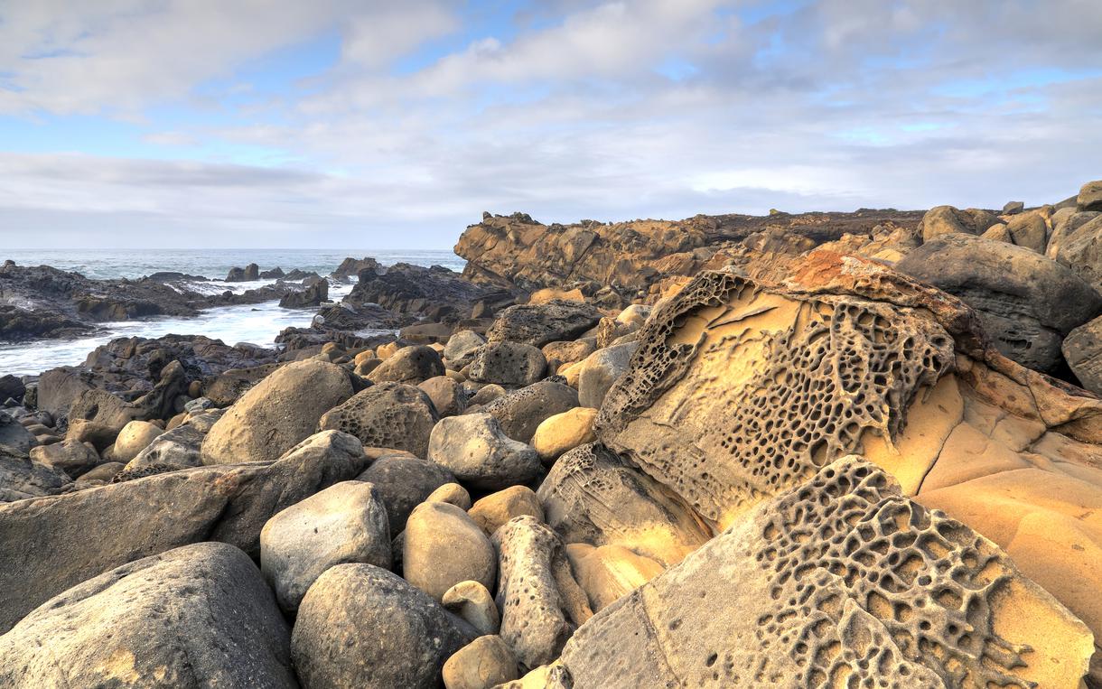 Salt Point State Park É Um Parque Estadual No Condado De Sonoma, Califórnia  É Coberto De Florestas De Pau-brasil, Tanoak, Pinheiro E Abeto, Com O  Equilíbrio Dividido Entre Prados E Florestas De