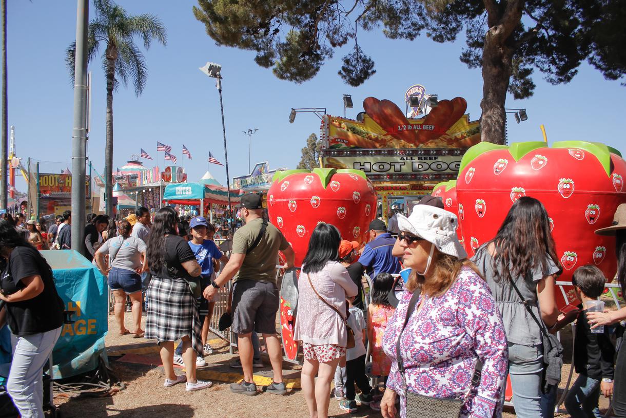 Where To Get the Freshest Fruit in California