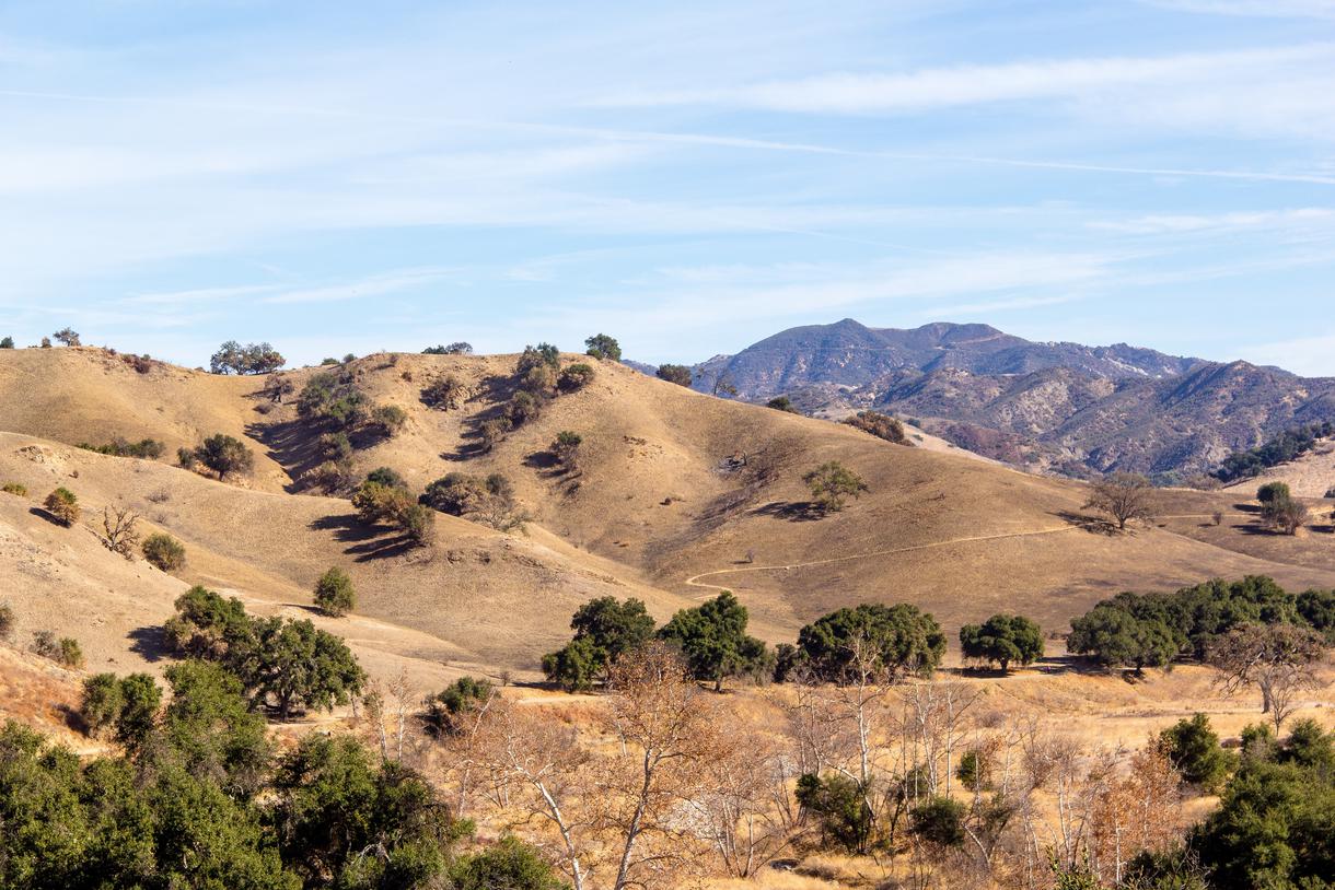 Top 5 Things to Do at Malibu Creek State Park