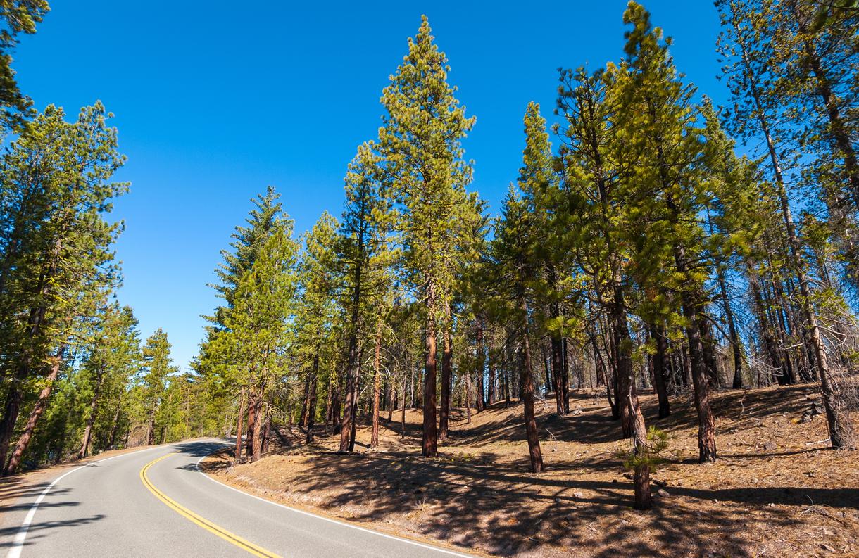 Travels in Geology: Lassen Volcanic National Park: A volcanic wonderland