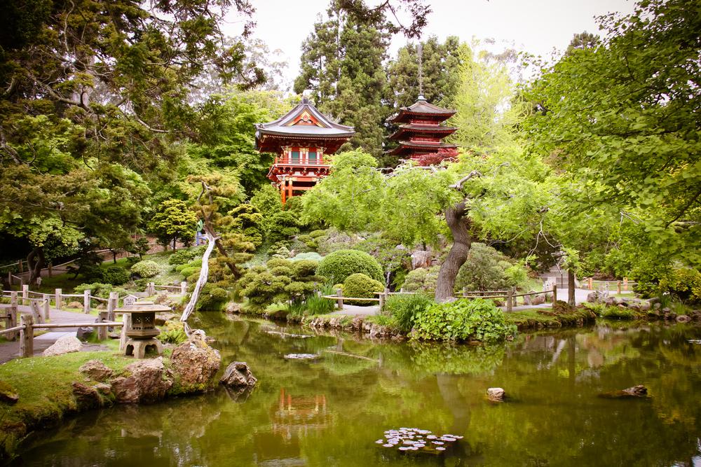 The Most Beautiful San Francisco Gardens That'll Blow Your Mind