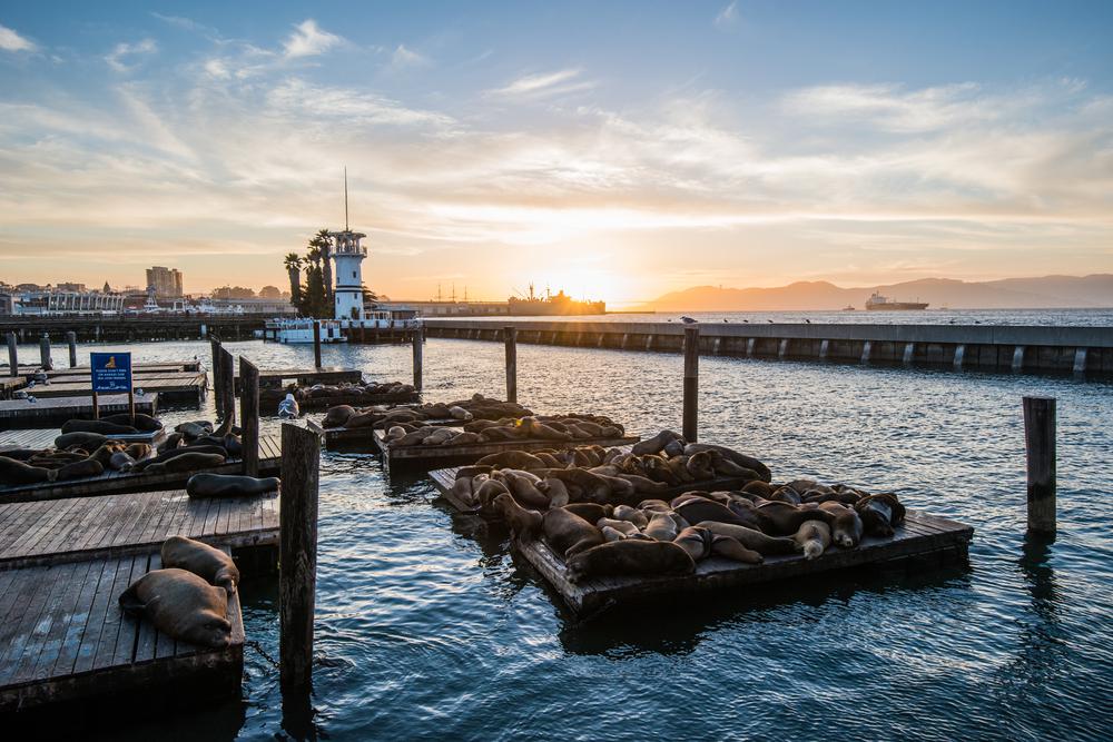 Fisherman's Wharf, San Francisco, CA - California Beaches