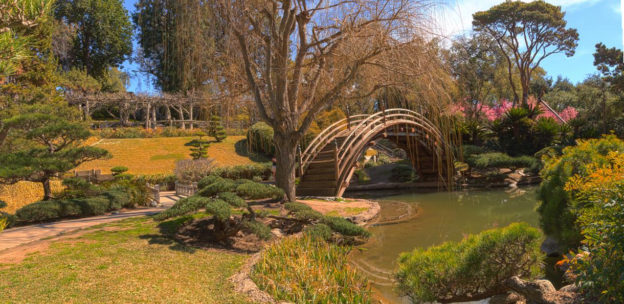 5 Most Beautiful Botanical Gardens in Los Angeles